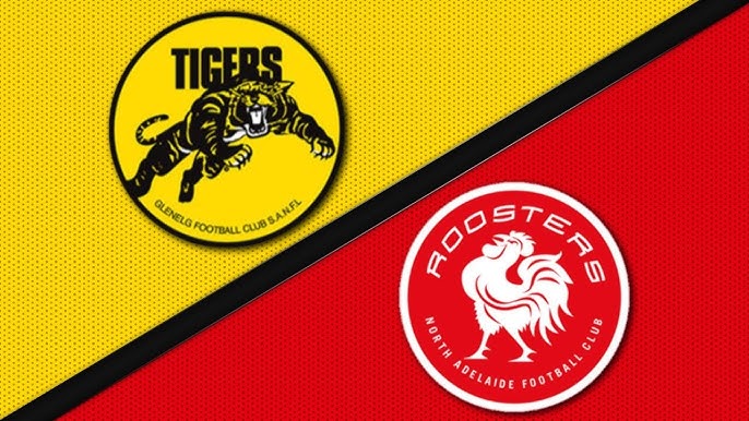 Round 17 - North Adelaide V Glenelg